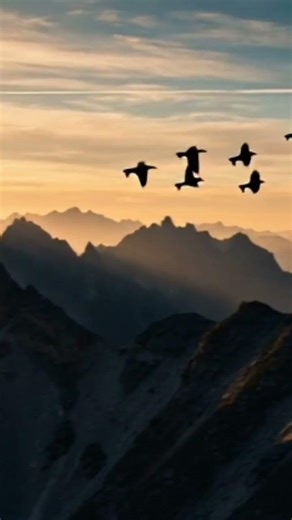 canon eos r3 mark ii 🔥 watch full review on my YouTube channel #canonrp #canoncamera