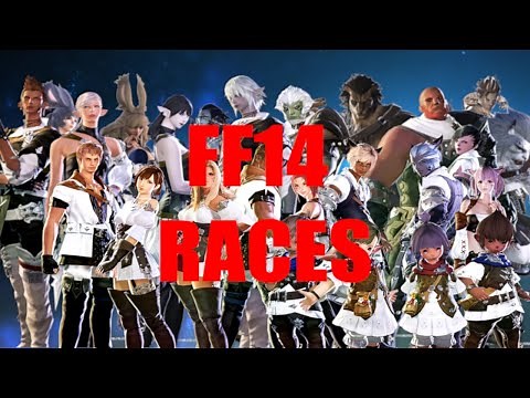 A Totally Accurate Guide to Playable Races [FF14 Shadowbringers]