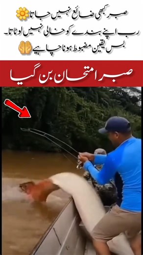 When Allah Gives, He Gives Beyond Imagination #AllahKiQudrat #FaithInAllah #PatiencePays #Miracle