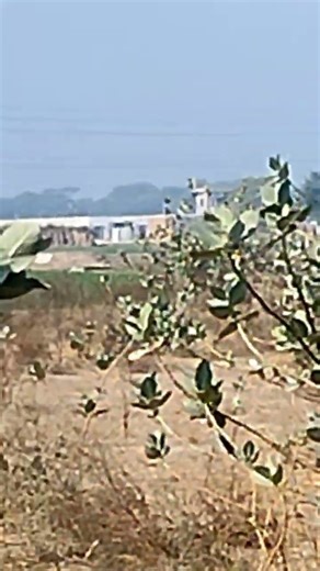 full zoom of poco x4 pro 5g