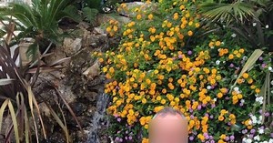 Σεπόλια: Σοκάρει η μητέρα της 12χρονης που βιάστηκε - Άμα βγει ελεύθερος θα τον θάψω εγώ η ίδια [βίντεο]