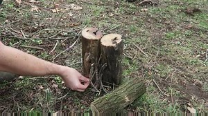 14K views · 165 reactions | The Swedish Torch makes an excellent super hot fire for cooking outdoors. This video shows a quicker, more simple, method of pulling this off. This is a nice trick to know how to do in a pinch when you need to make a quick, hot, fire. | Preppers for Survival | Facebook
