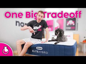 Bear Elite Hybrid Review - Updated Model with One Weakness