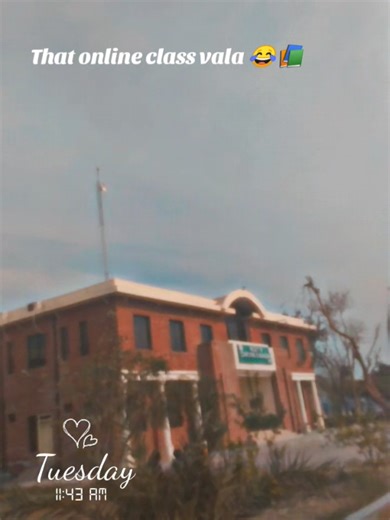 Online Classes Experience at University of Layyah
