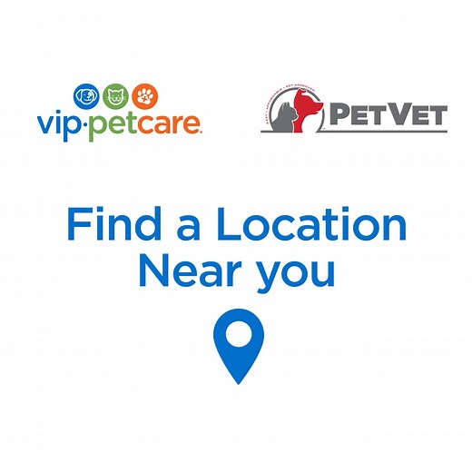 Keep your pet’s health on track with VIP Petcare! Our vaccination clinics offer convenient and affordable vaccinations and checkups to help your pet stay healthy and happy. | VIP Petcare