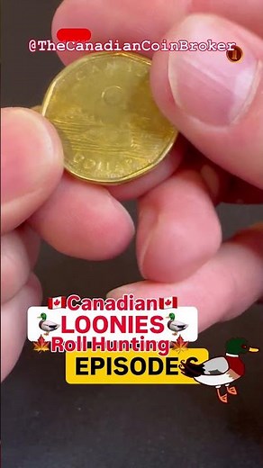 Canadian Loonie Roll Hunt 🇨🇦 Episode 6 Rare Coins Found? #canadiancoins #coin #coincollecting
