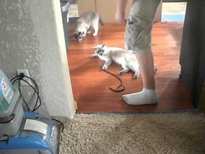 ViewSonic VT2430 24-Inch 1080p LCD HDTV