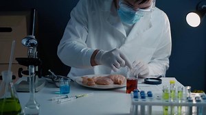 Scientist from food testing laboratory tests food for infection, chemical and Genetically Modified Organisms GMO by applying a red liquid with a pipette to chicken breast for chemical reactions.