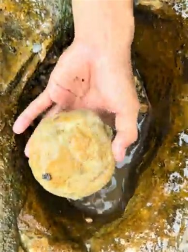 The Ultimate Guide to Finding Gold Treasure