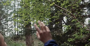 Video by PNW Production on Pexels