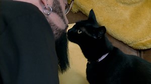 1.7M views · 50K reactions | Littlez’s owners keep getting attacked by their extremely aggressive cat and they are considering putting her to sleep. Jackson Galaxy will try his best to stop that from happening and to prove that every cat deserves patience and love. Watch more My Cat From Hell on discovery+: https://bit.ly/3wt76Eb | Love Animals | Facebook