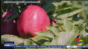 Washington's rocky relationship with the honeycrisp apple