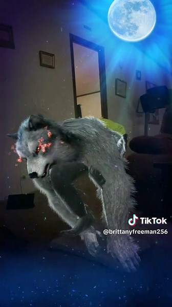 Idk what to put #fyp #run #wolf #spellrun #funny | Wolf