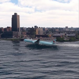 105K views · 818 reactions | LOST CONTROL LANDING AIR CANADA B777 AT most dangerous Liberty Airport ✈️ | Flight sim viral | Facebook