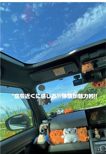 タフトのスカイフィールトップの魅力と実際