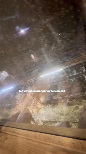 C’est pas si mal Annecy ! on Instagram: "On mange avec le bétail 🐄 Annecy aujourd’hui je te présente la Ferme de la Charbonnière, un endroit unique en son genre où tu peux voir en live, celles qui produisent les produits laitiers de ton repas !! 😍 Ici tout est à 27€, à volonté !!! Bref une tuerie ! On était tellement plein qu’on a même pas goûté les fromages sec en dessert… mais bon, ce n’est que parti remise !! #annecy #annecylake #annecytourisme #annecyfrance #annecymountains"