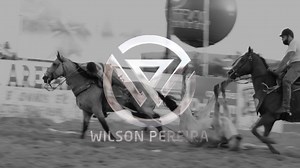 Exciting Rodeo Action: Horses and Riders in Action