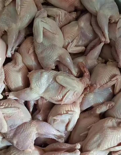 Bildirçin Satışı Tərtər (@texasbildircini)’s videos with orijinal ses - Bildirçin Satışı Tərtər