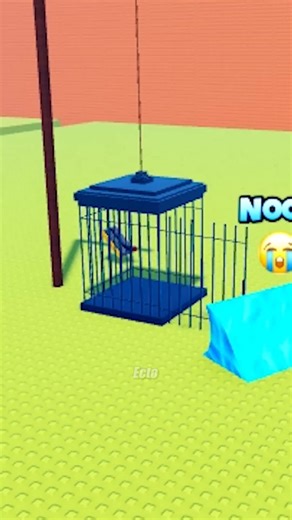 Roblox Noob Scared of Closed Door