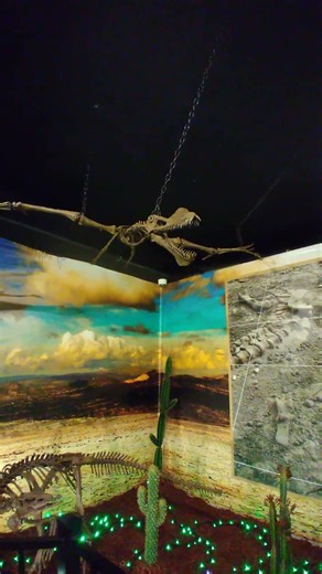2026 Large Life-Sized Anhanguera Dinosaur Skeleton Dinosaur World Florida