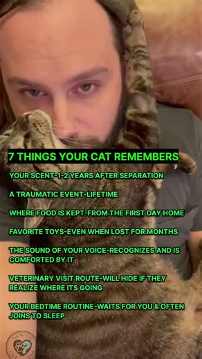 Cats are really the best 😻🐈.....#CatFacts #CatBehavior #CatLife #CatLovers #CatsOfInstagram