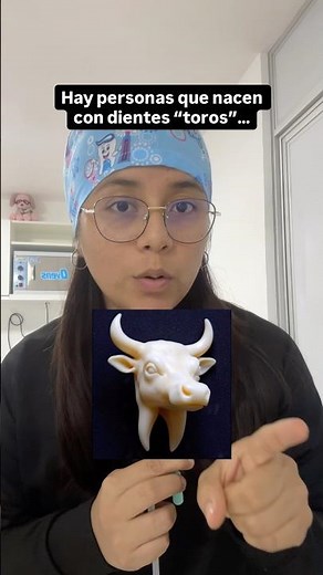 🦷 ¿Taurodontismo? No, no es una enfermedad rara… y no, tampoco es porque tengas “dientes de toro”🐂