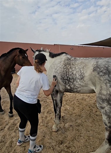 Petit debroussaillage de printemps pour Nema 🫠 #cheval #centreequestre #alogrooming