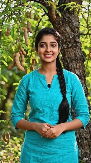 The Amazing Biology of the Tamarind Tree (Tamarindus indica)🌱💚
