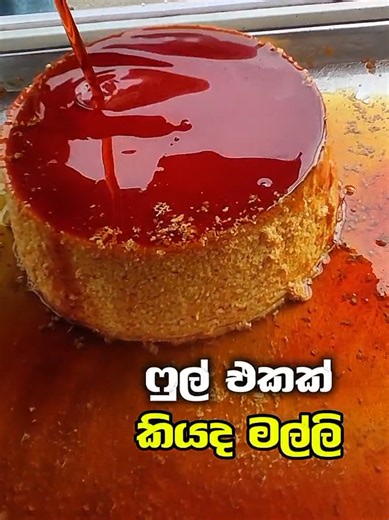 හැමෝම ආස කරන🍮 Our Best Seller – Whole Caramel Pudding (Pan Included) 💛 Rs. 2,990 Only මුළු පවුලම එක්ක share කරගෙන කන්න perfect! 😍 Super creamy, rich caramel flavour එකත් එක්ක premium quality Whole Caramel Pudding එකක්. 📍 Caramello Locations: • Kolonnawa • Wellawatte — coming soon 👀🔥 🕒 Prep Schedule එකට විතරයි open වෙන්නෙ. Opening updates බලන්න අපේ page එක follow කරන්න. #caramelpudding #fyp #viral #caramel