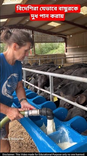 Advanced Milk Feeding Technology in Modern Farms