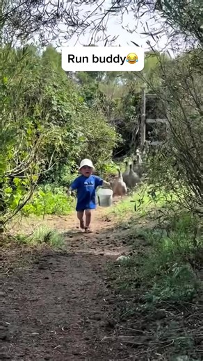 Funny Duck Moments That Will Make You Smile