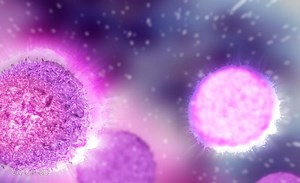 3d animation, Biological animation, Medical animation