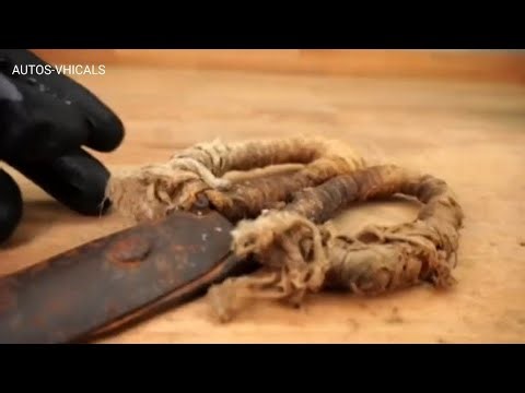 Scissor restoration video