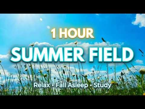 1 Hour Summer Field Ambience ☀️ Gentle Wind in Meadow for Sleep & Relaxation