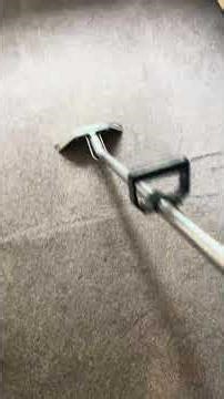 Bedroom Carpet Cleaning in Progress #carpetcleaner #cleaning #steamcleaner