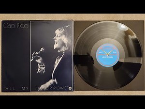 Denon DL103 modified vs DL103R modified