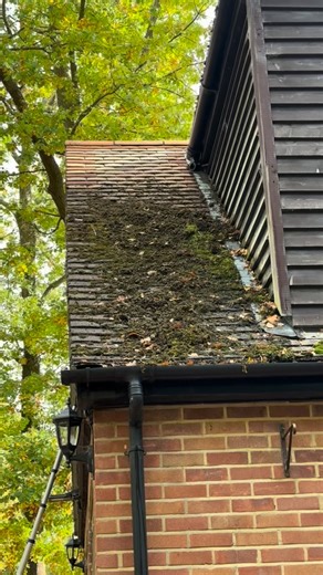 2.3K views · 709 reactions | Another satisfying moss removal  Exterior cleaning professionals, offering a range of cleaning solutions. * Pressure Washing * Gutter Cleaning * Roof Cleaning * Soffit/ Facia cleaning * Soft Washing * Residential & Commercial Feel free to contact for a free quote: Info@sprayawaysolutions.co.uk 07983153251 www.sprayawaysolutions.co.uk | SprayAway Cleaning Solutions | Facebook