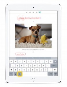 Adobe Slate lets you publish magazine-like stories from your iPad without design expertise - 9to5Mac