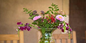 How to Grow an At-Home Cutting Garden for Bouquets