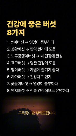 건강에 좋은🍄 버섯 8가지