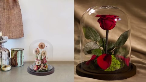 Glass Dome with Base for Display, Wooden Cloche Bell Jars 5.9" x 7.87" Case Cover Large Terrarium Cloches Pocket for Watch Flower Small Plastic Ornament Candle Plant Decorative Home Party Wedding Decor