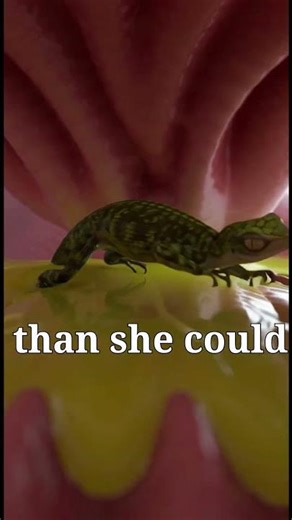 SHE SWALLOWED A LIVE LIZARD?! 🦎😱 #Shorts #Unbelievable #facts