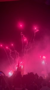 Happily Ever After! | See WDW