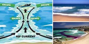 This surf rescuer's lesson on how to spot a rip current could literally save your life