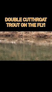 Fall fly fishing for big cutthroat trout!#outdoors #utah #trout #flyfishing #bigfish #insane #wicked | Hooked On Utah