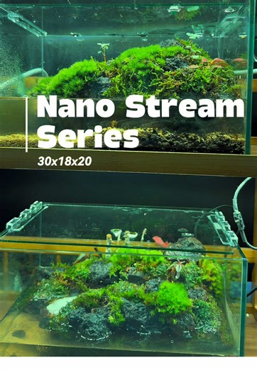 Come view our Nano Stream Series#creatorsearchinsights #terrarium #desktopsetup #paludarium #aquarium