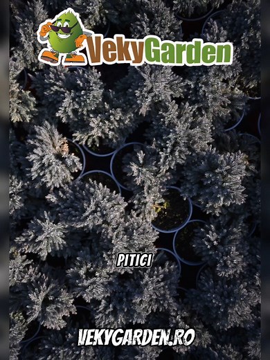 5.2K views · 25 reactions | Descoperă colecția noastră spectaculoasă...