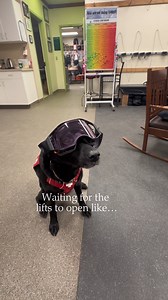 Trust us, we are excited too! | Stevens Pass