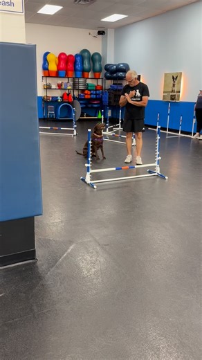  Ready, Set, Zoom!  Agility isn’t just about speed. It’s about...