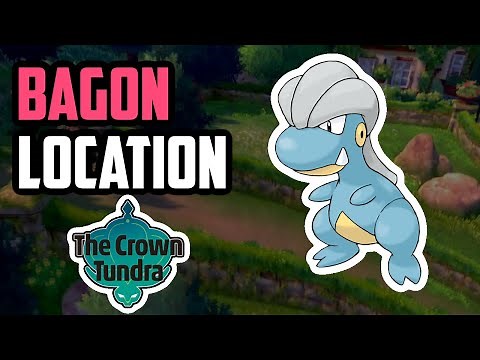 How to Catch Bagon - Pokemon Sword & Shield (DLC)